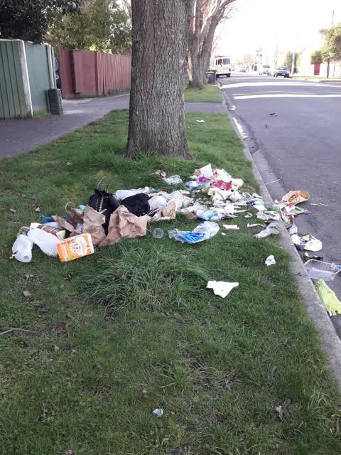 Rubbish/Recycling, a report photo