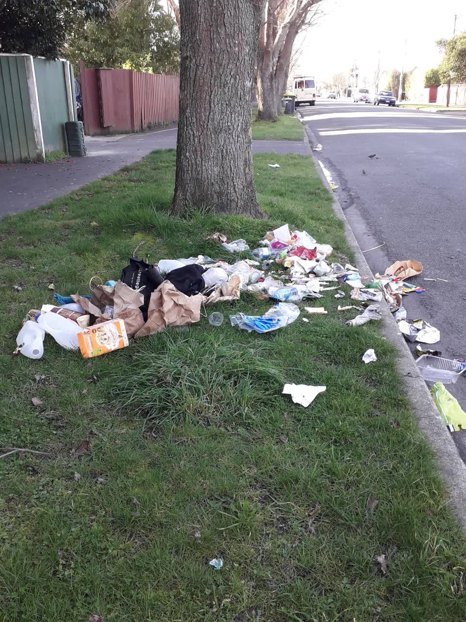The photograph attached to this rubbish/recycling report