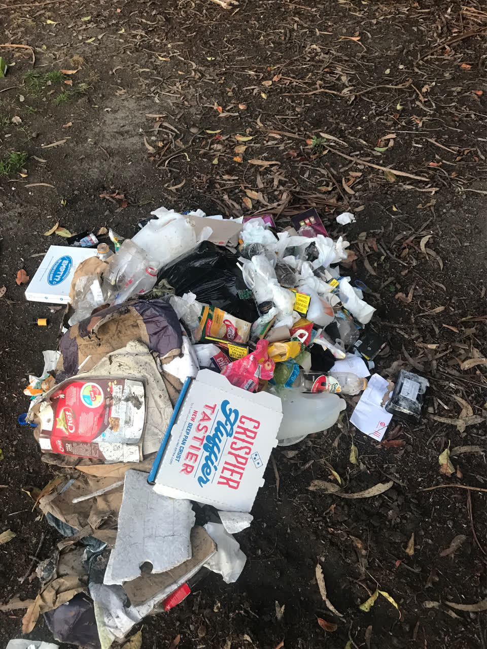 The photograph attached to this rubbish/recycling report