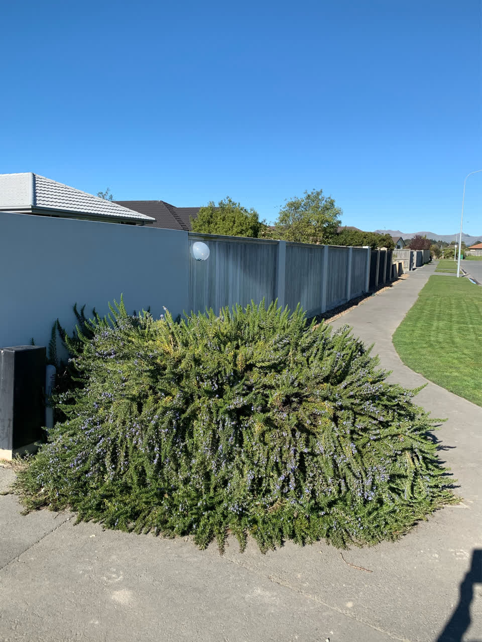 The photograph attached to this parks report