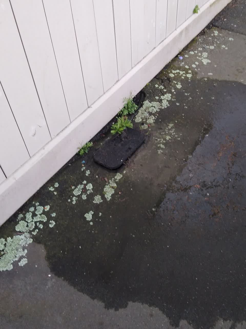 The photograph attached to this water supply report