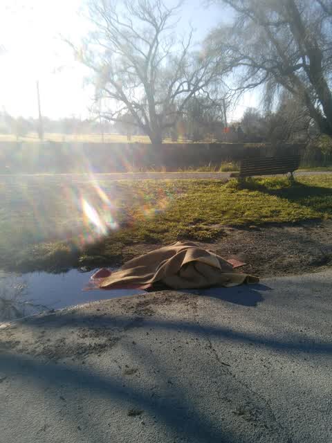 Rubbish/Recycling, a report photo