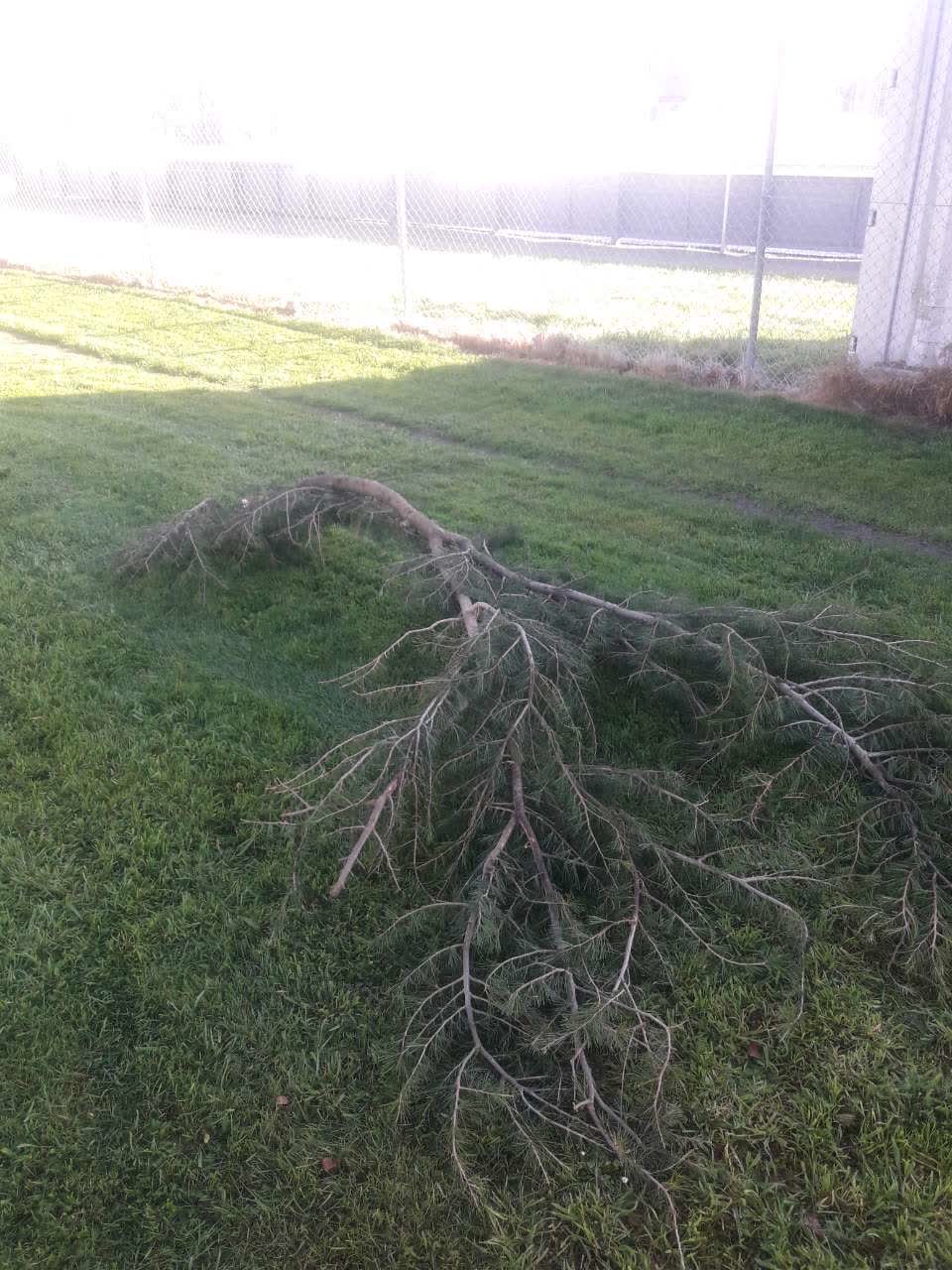 The photograph attached to this parks report