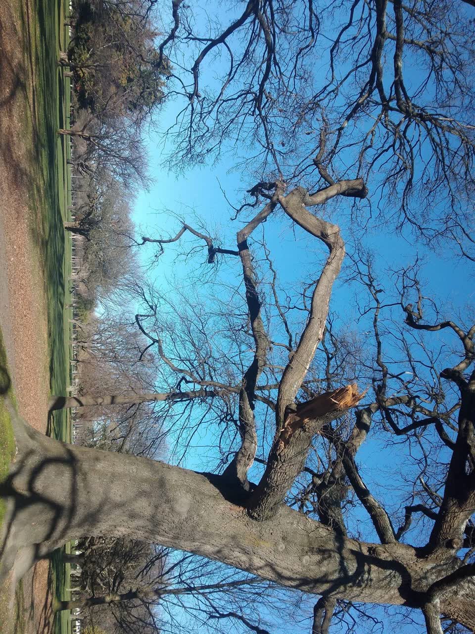 The photograph attached to this parks report