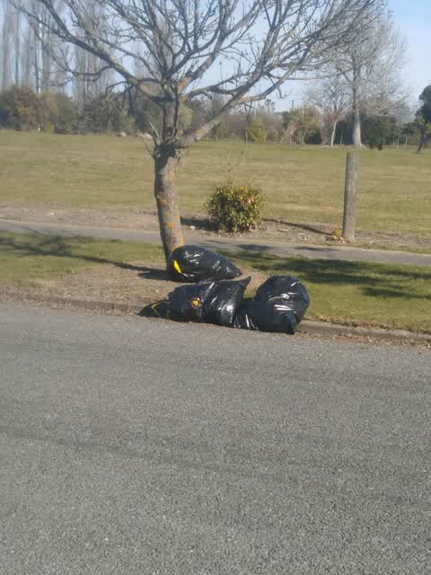 Rubbish/Recycling, a report photo