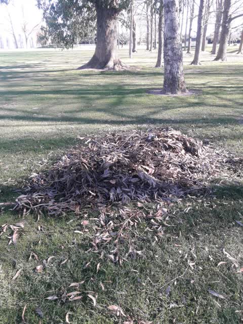Parks — a report photo