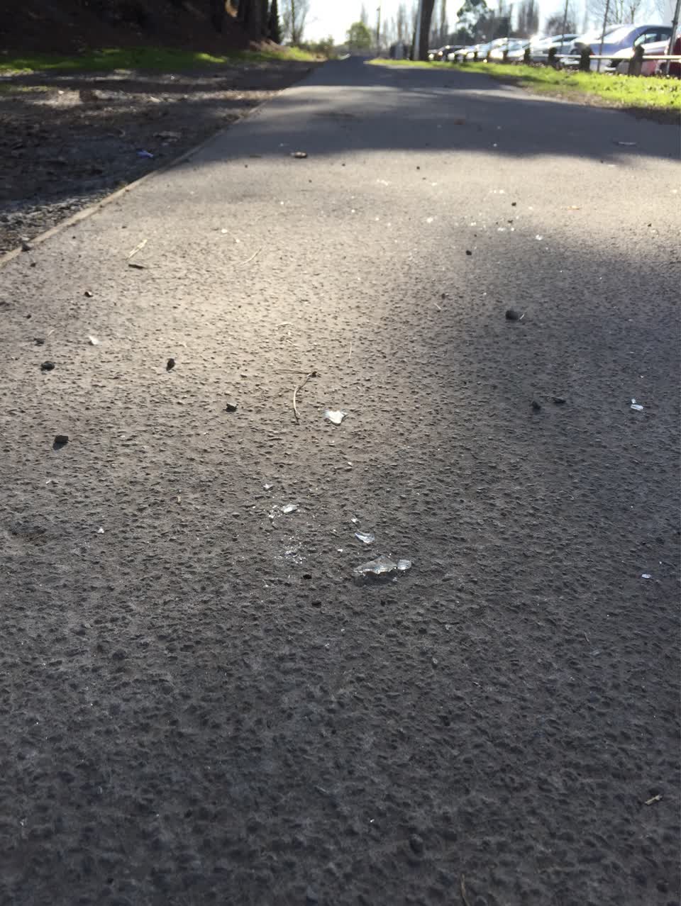 The photograph attached to this parks report