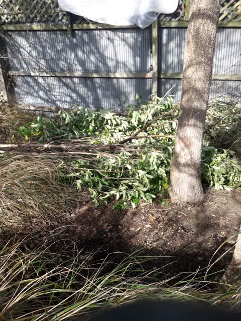 Rubbish/Recycling, a report photo