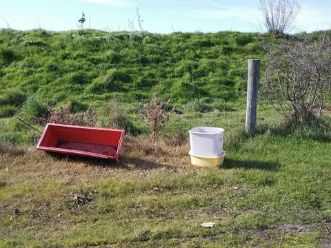 Rubbish/Recycling, a report photo