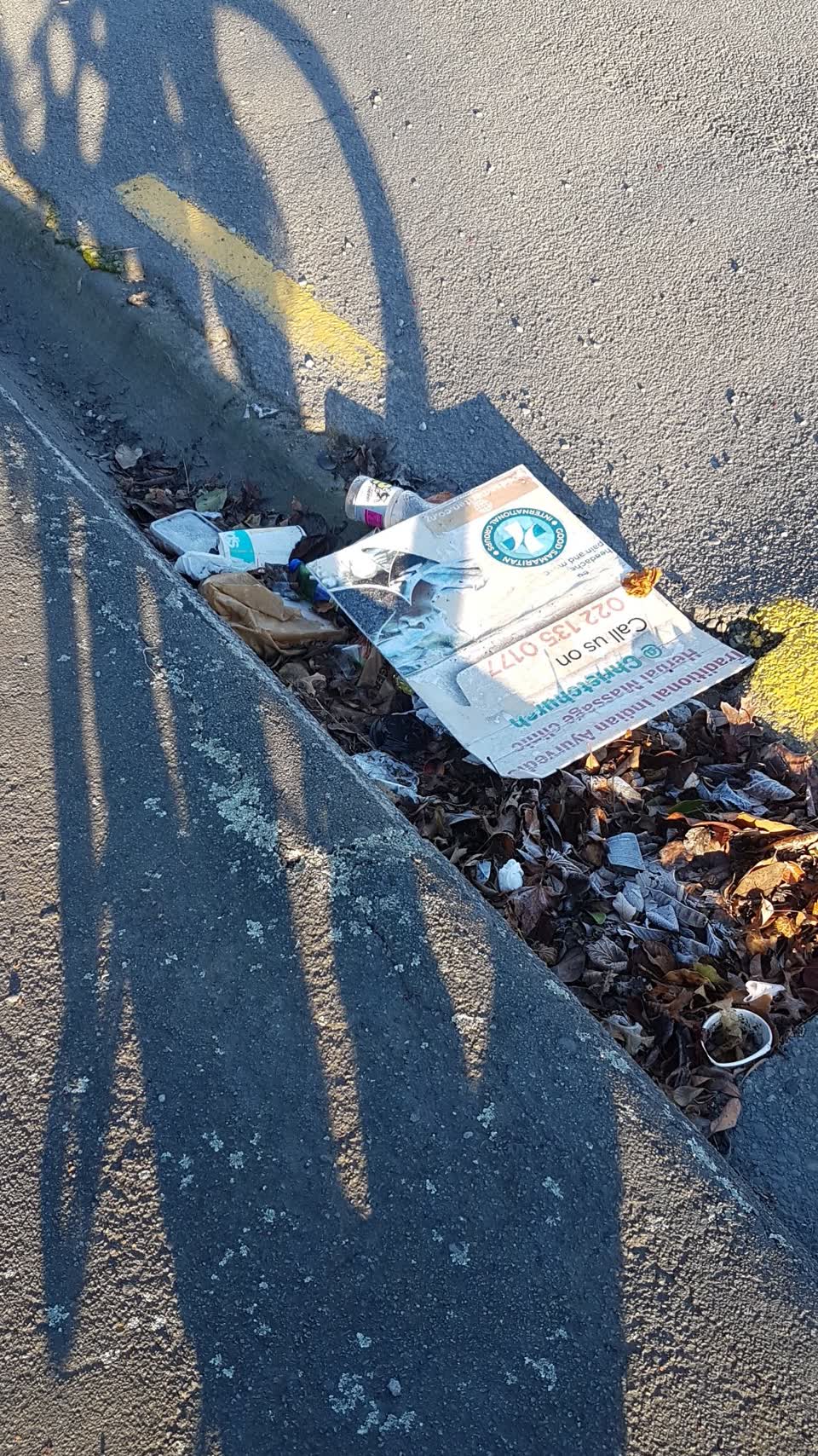 The photograph attached to this rubbish/recycling report