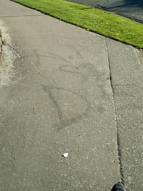 Graffiti, a report photo