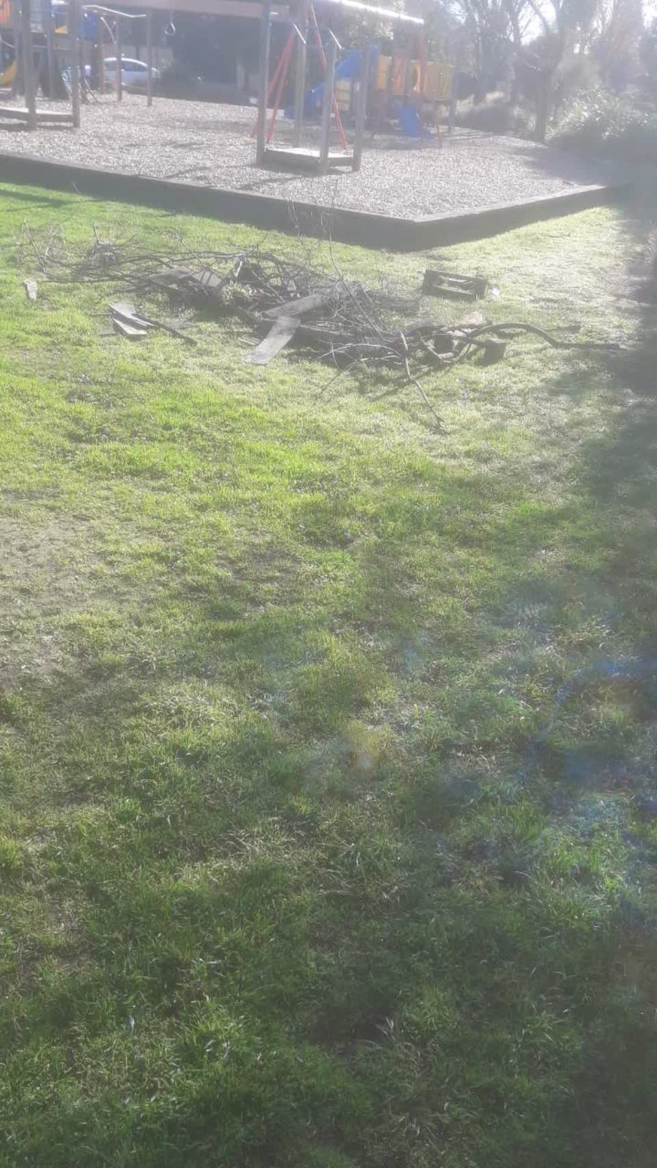 The photograph attached to this parks report