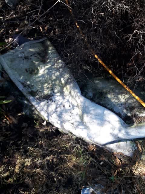 Parks, a report photo