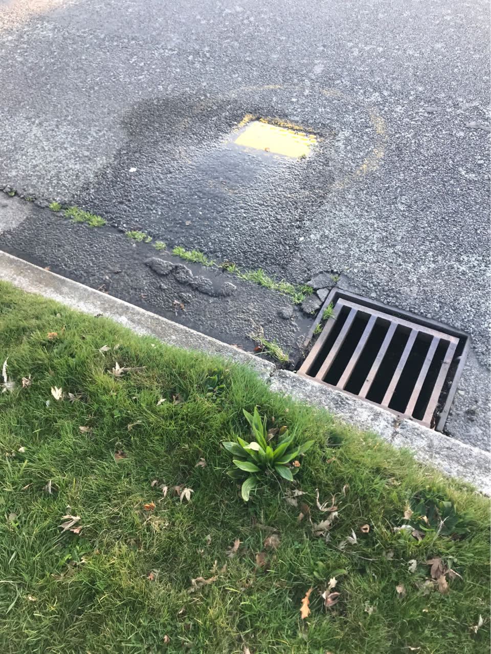 The photograph attached to this water supply report