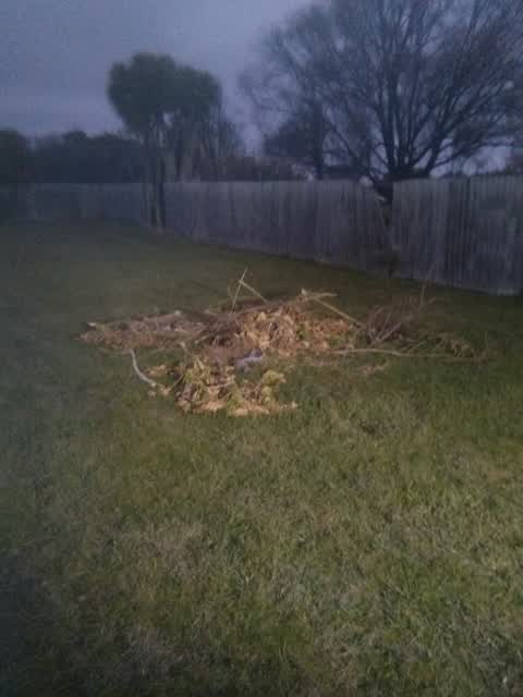 Rubbish/Recycling, a report photo