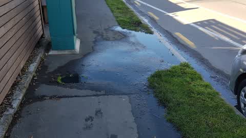 Water Supply, a report photo