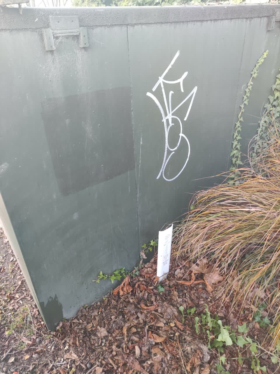 The photograph attached to this graffiti report