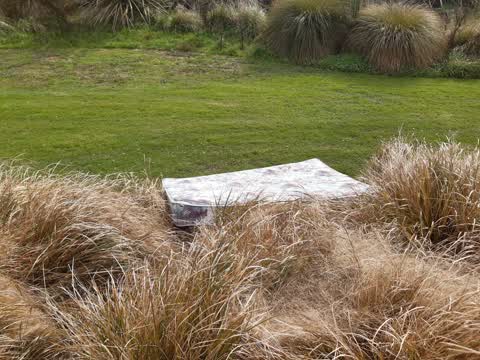 Parks — a report photo