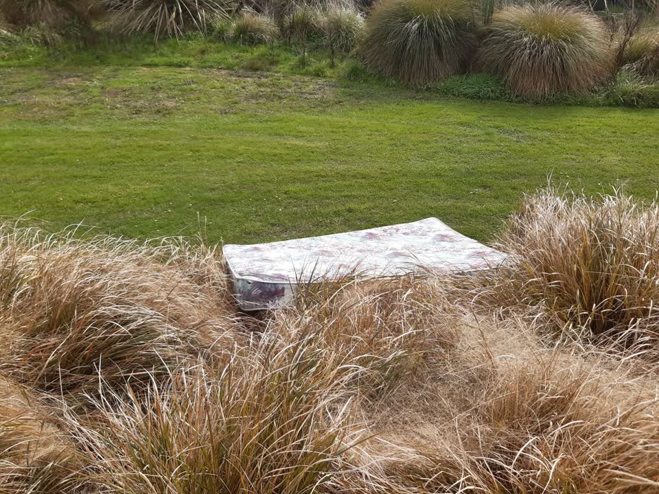 The photograph attached to this parks report
