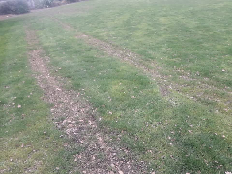 The photograph attached to this parks report