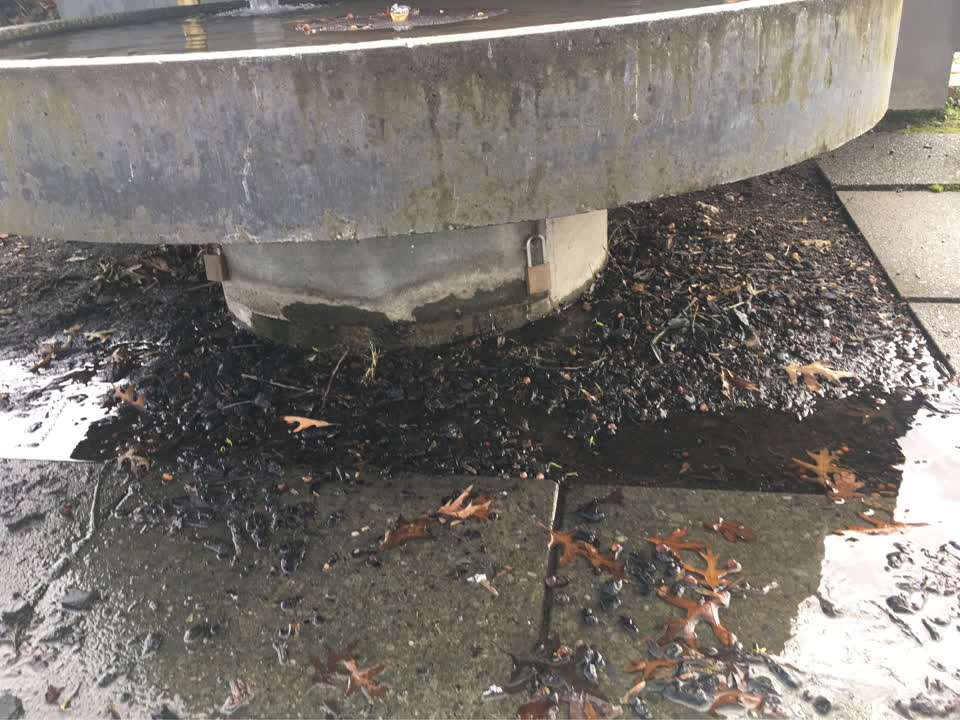 The photograph attached to this water supply report