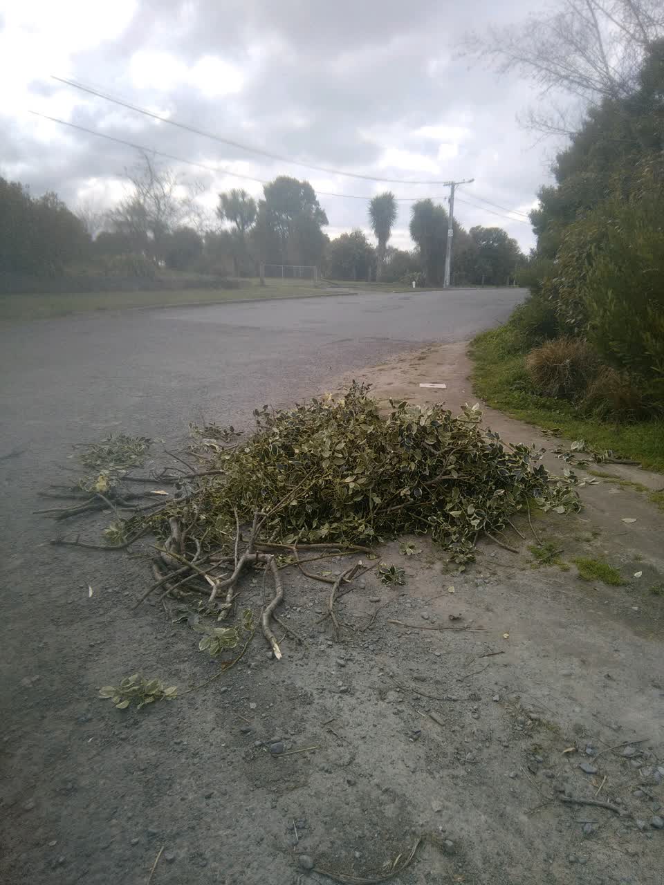 The photograph attached to this rubbish/recycling report