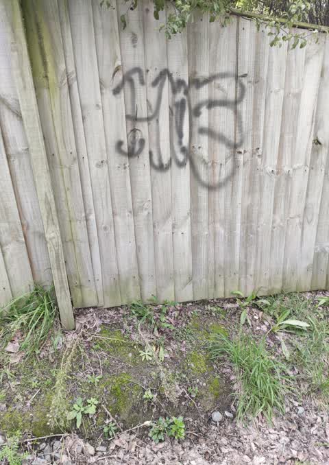 Graffiti, a report photo