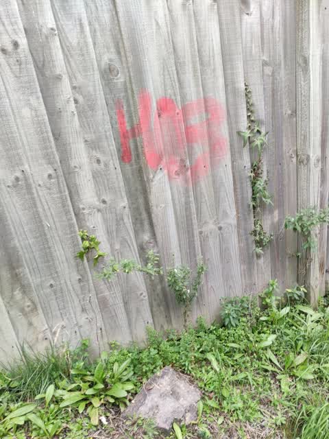 Graffiti, a report photo