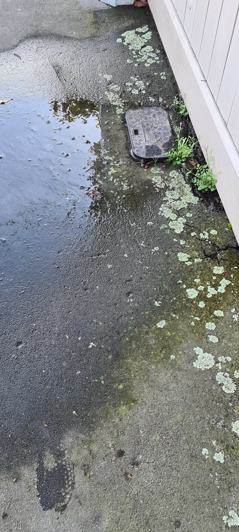 The photograph attached to this water supply report