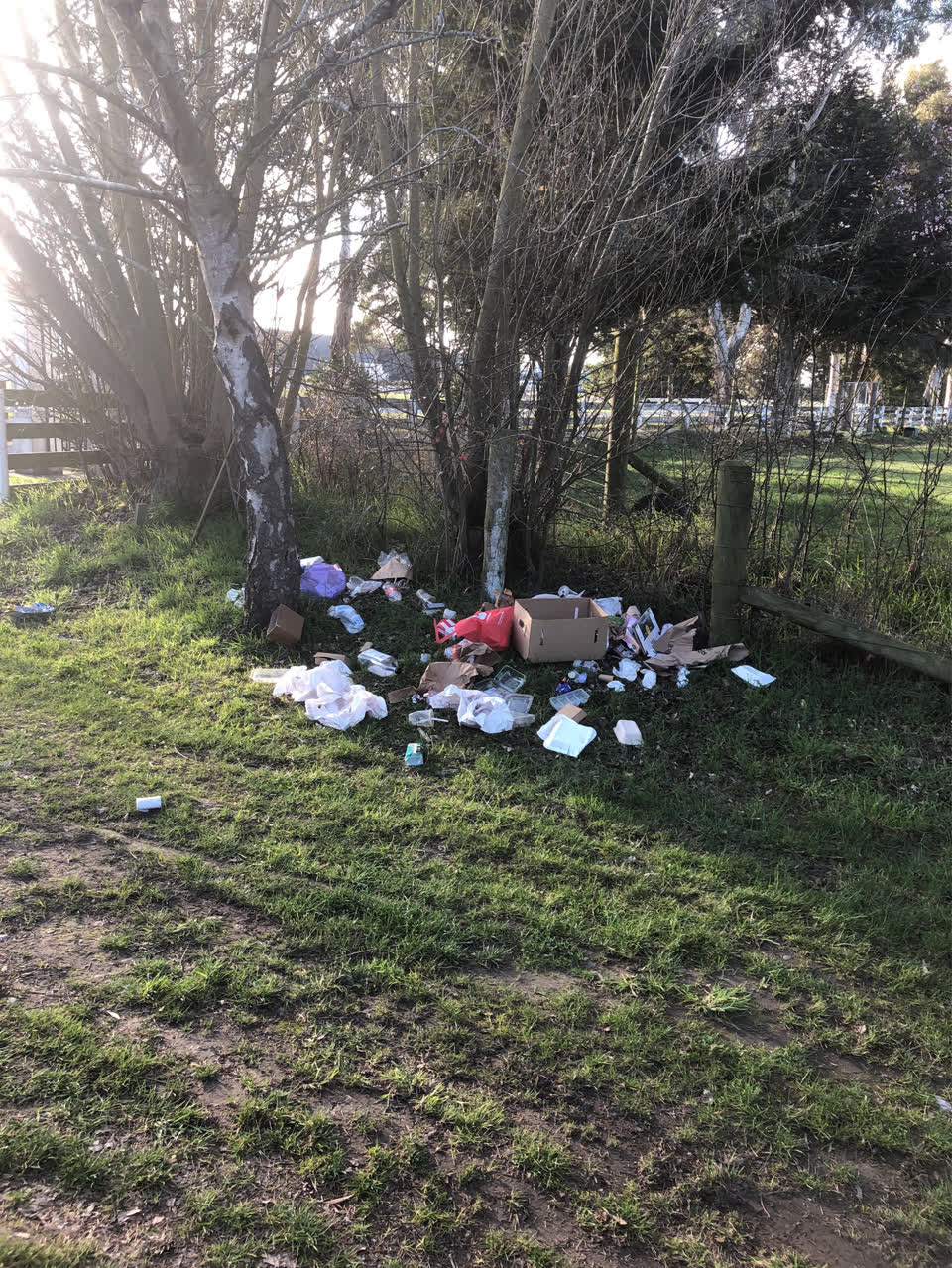 The photograph attached to this rubbish/recycling report