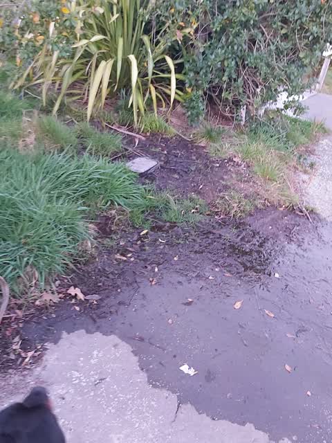 Flooding, a report photo