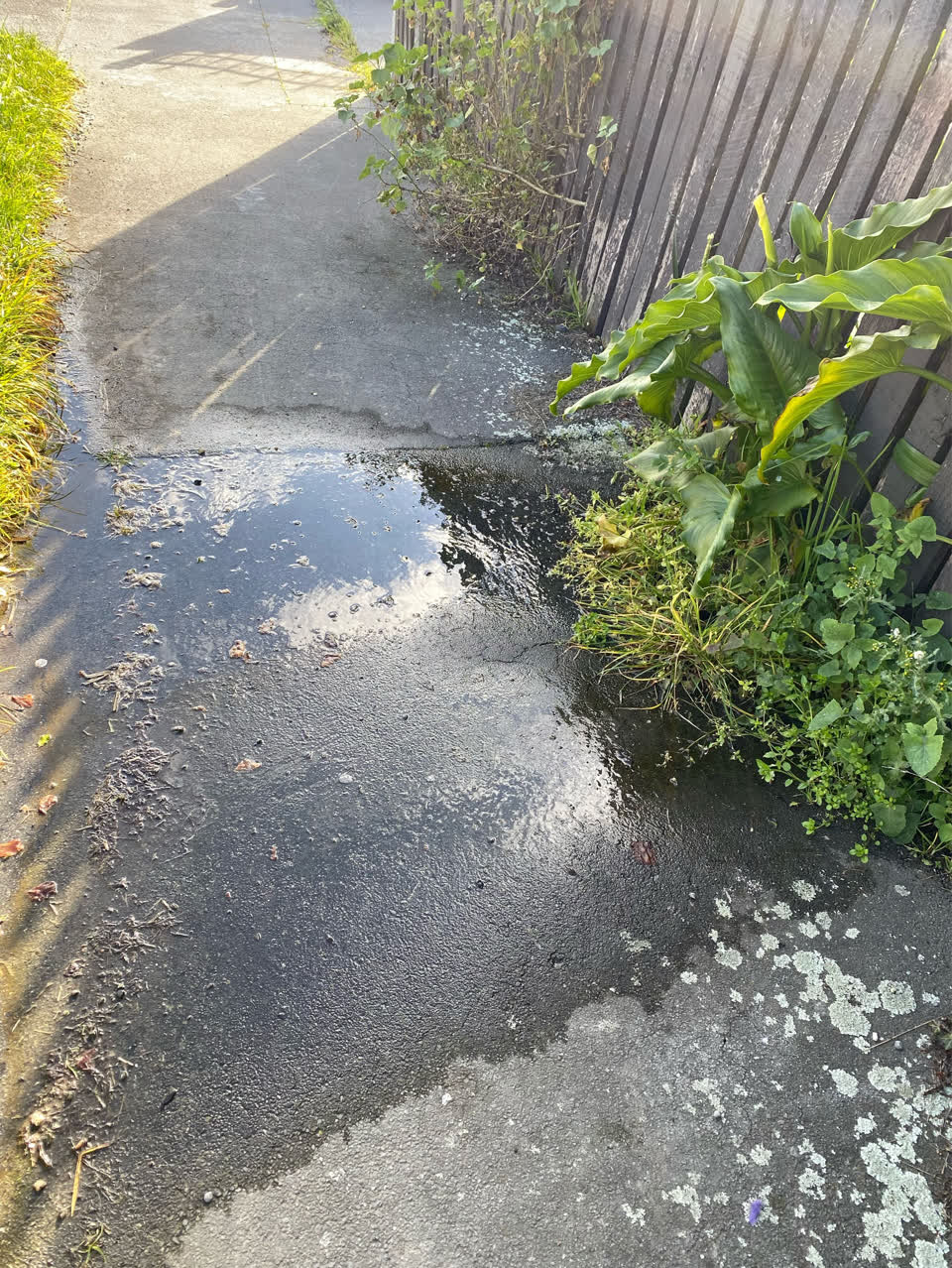 The photograph attached to this water supply report
