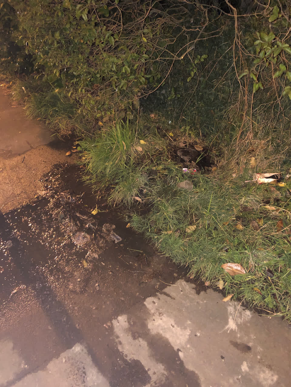 The photograph attached to this water supply report
