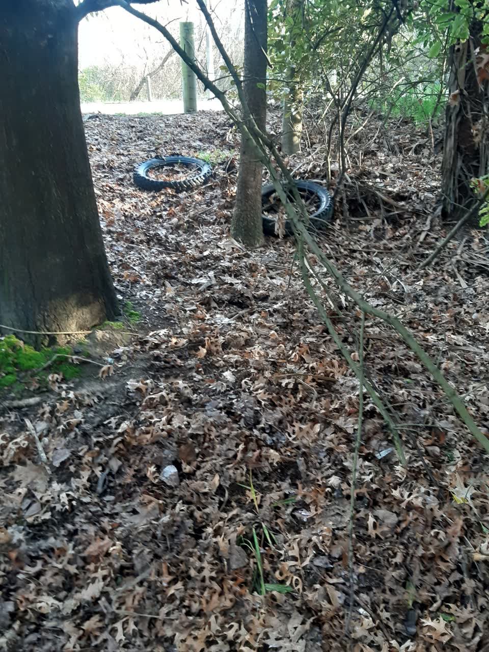 The photograph attached to this parks report