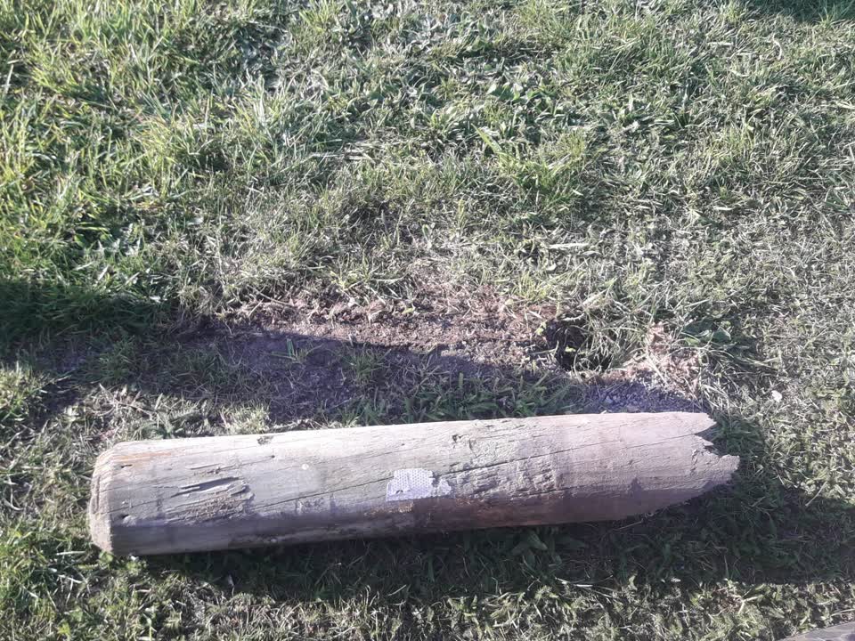 The photograph attached to this parks report