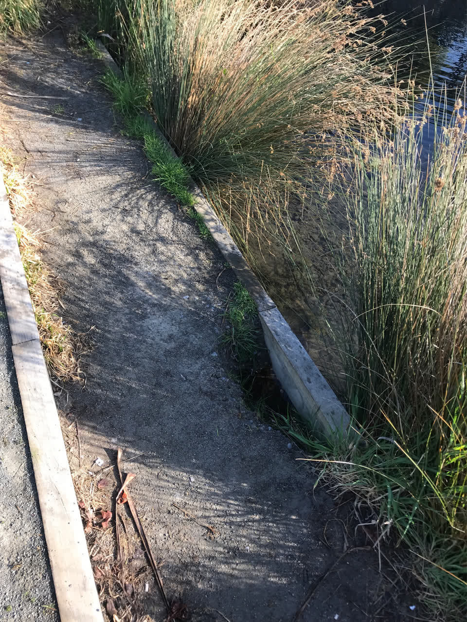 The photograph attached to this parks report