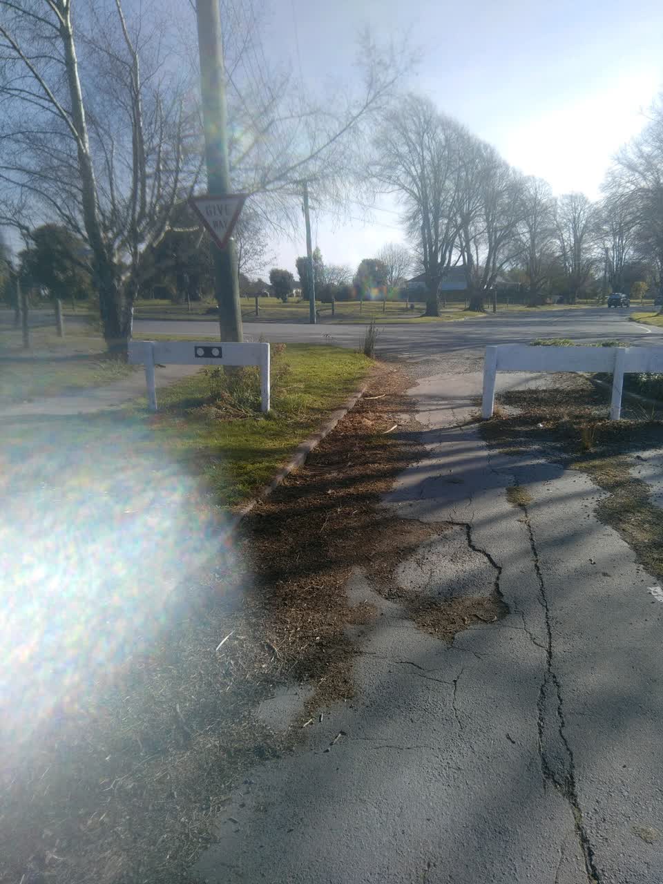 The photograph attached to this parks report