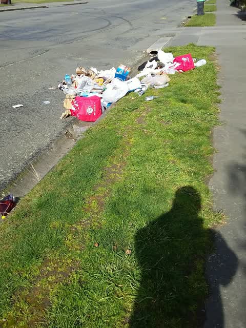 Rubbish/Recycling, a report photo