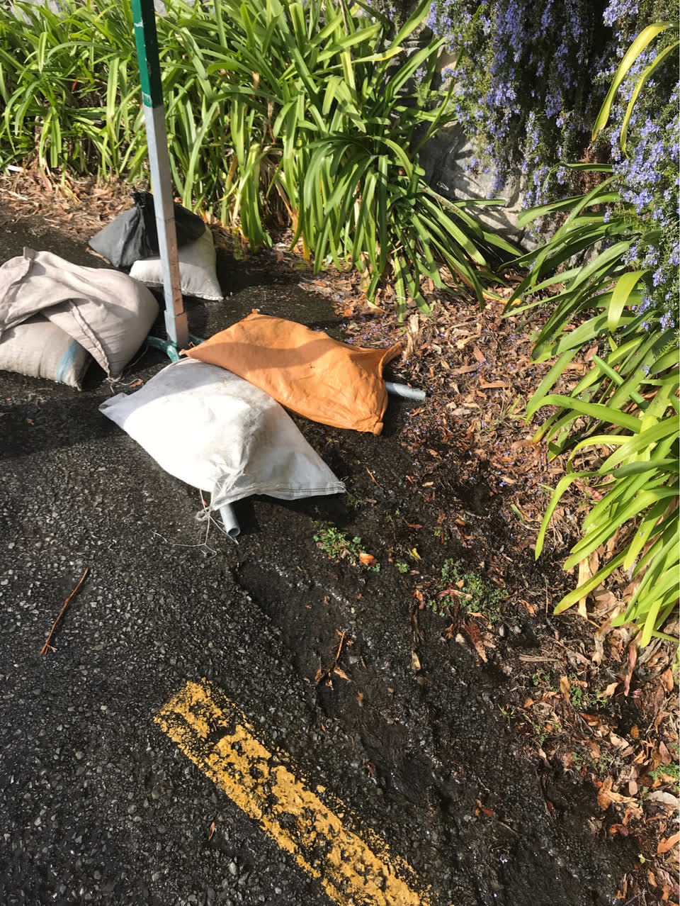 The photograph attached to this water supply report