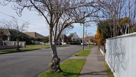 Roading/Streets, a report photo