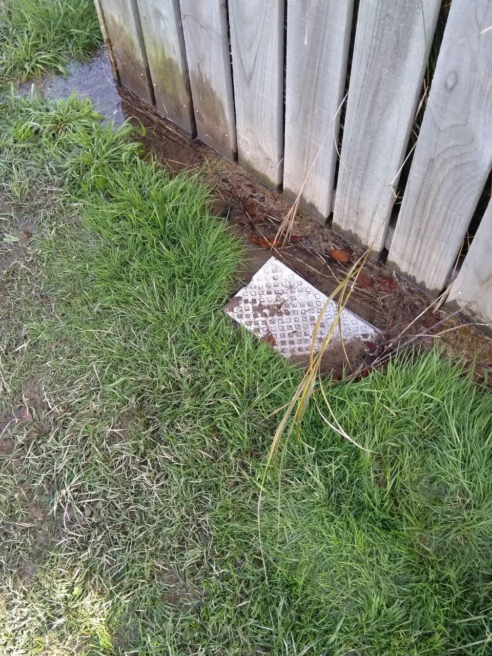 The photograph attached to this water supply report