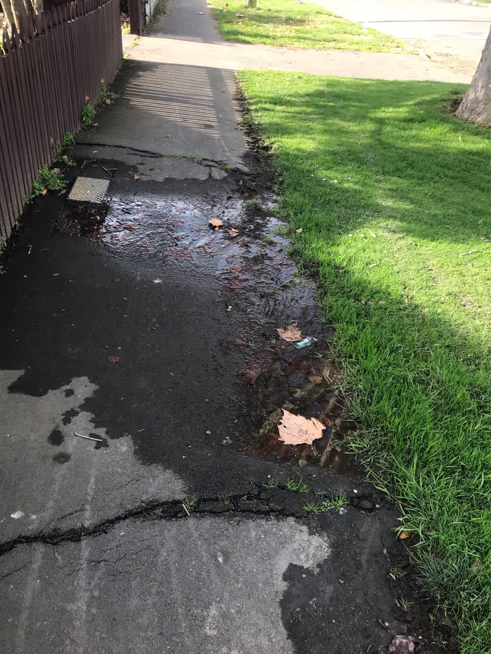 The photograph attached to this flooding report
