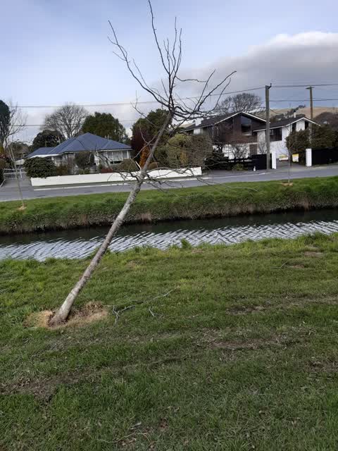 Parks, a report photo
