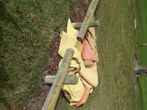 Rubbish/Recycling, a report photo