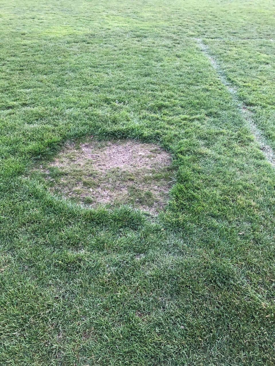 The photograph attached to this parks report
