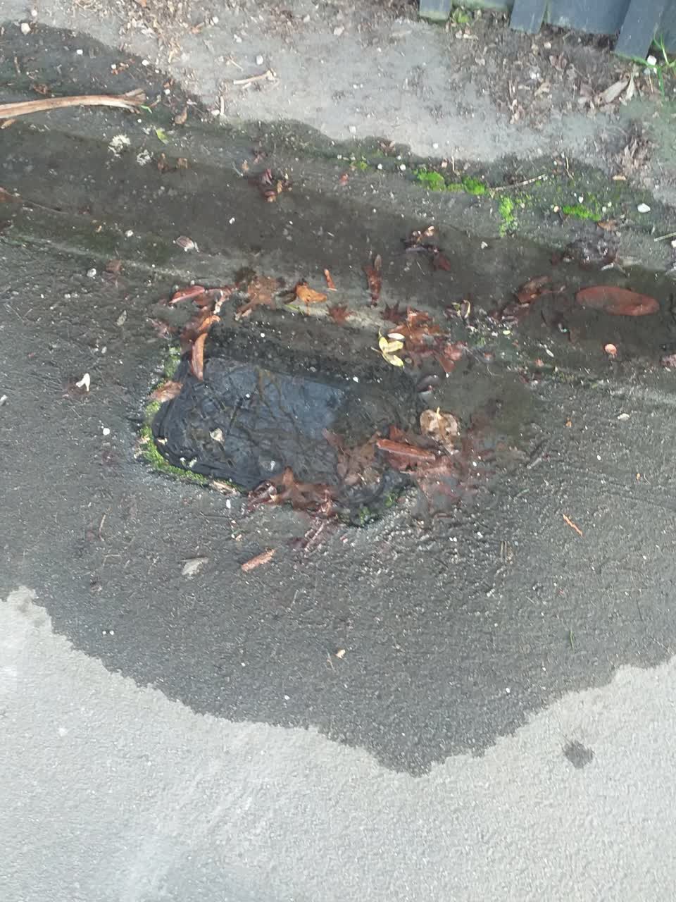 The photograph attached to this flooding report