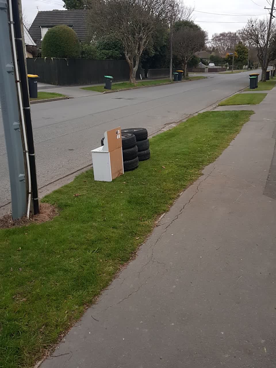 The photograph attached to this rubbish/recycling report