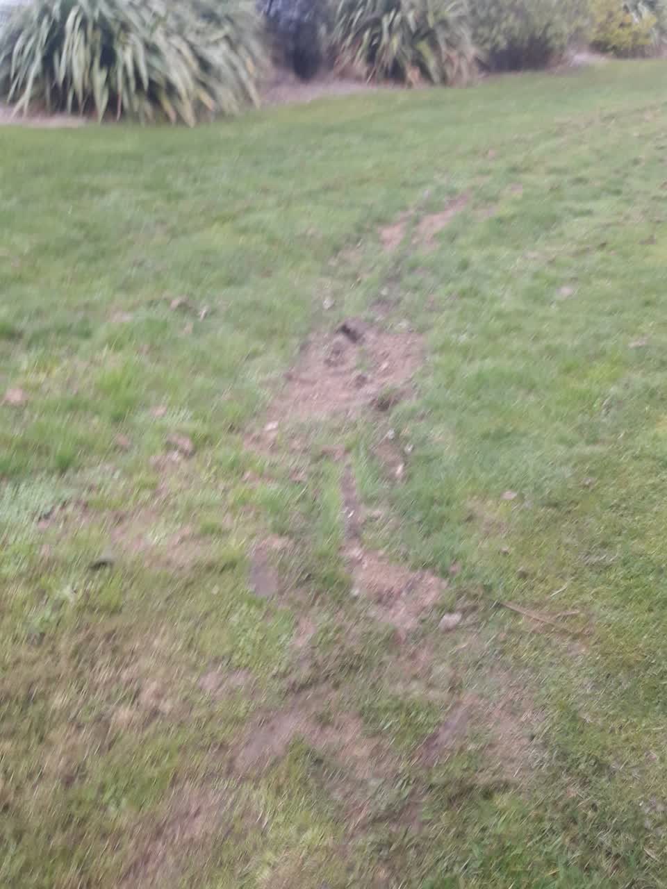 The photograph attached to this parks report