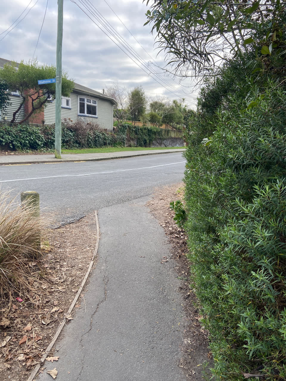 The photograph attached to this roading/streets report