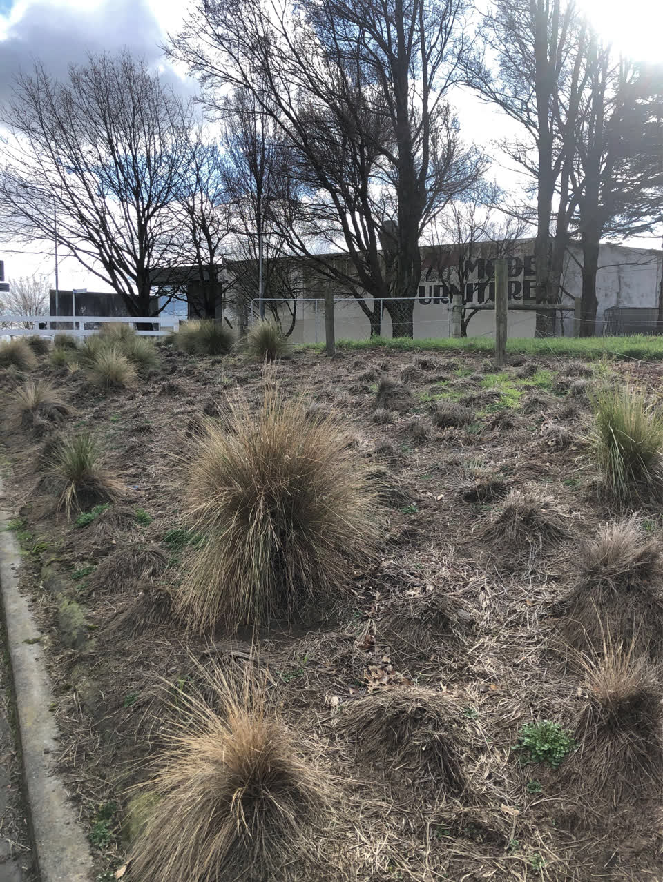 The photograph attached to this parks report